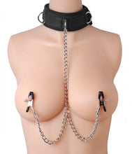 Lade das Bild in den Galerie-Viewer, Submission Collar And Nipple Clamp Union
